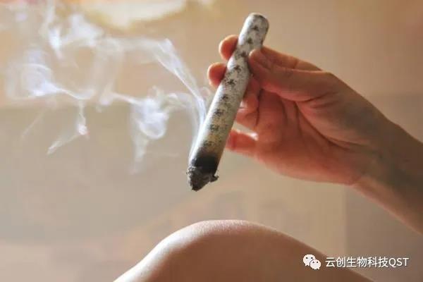 艾灸對身體有什么好處？常見的艾灸的工具，到底選哪個好