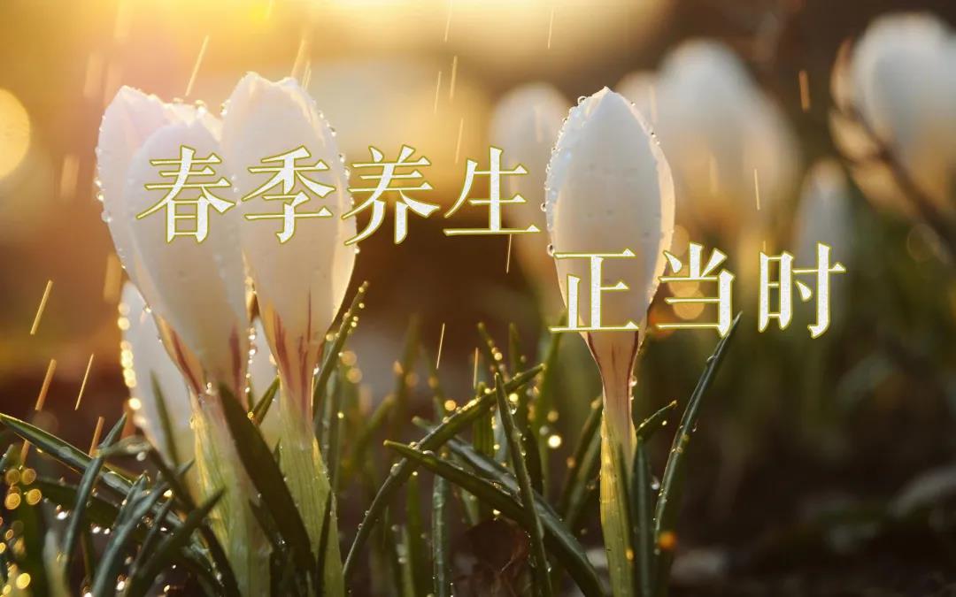 春天艾灸，陽上增陽，這些技巧別錯(cuò)過！